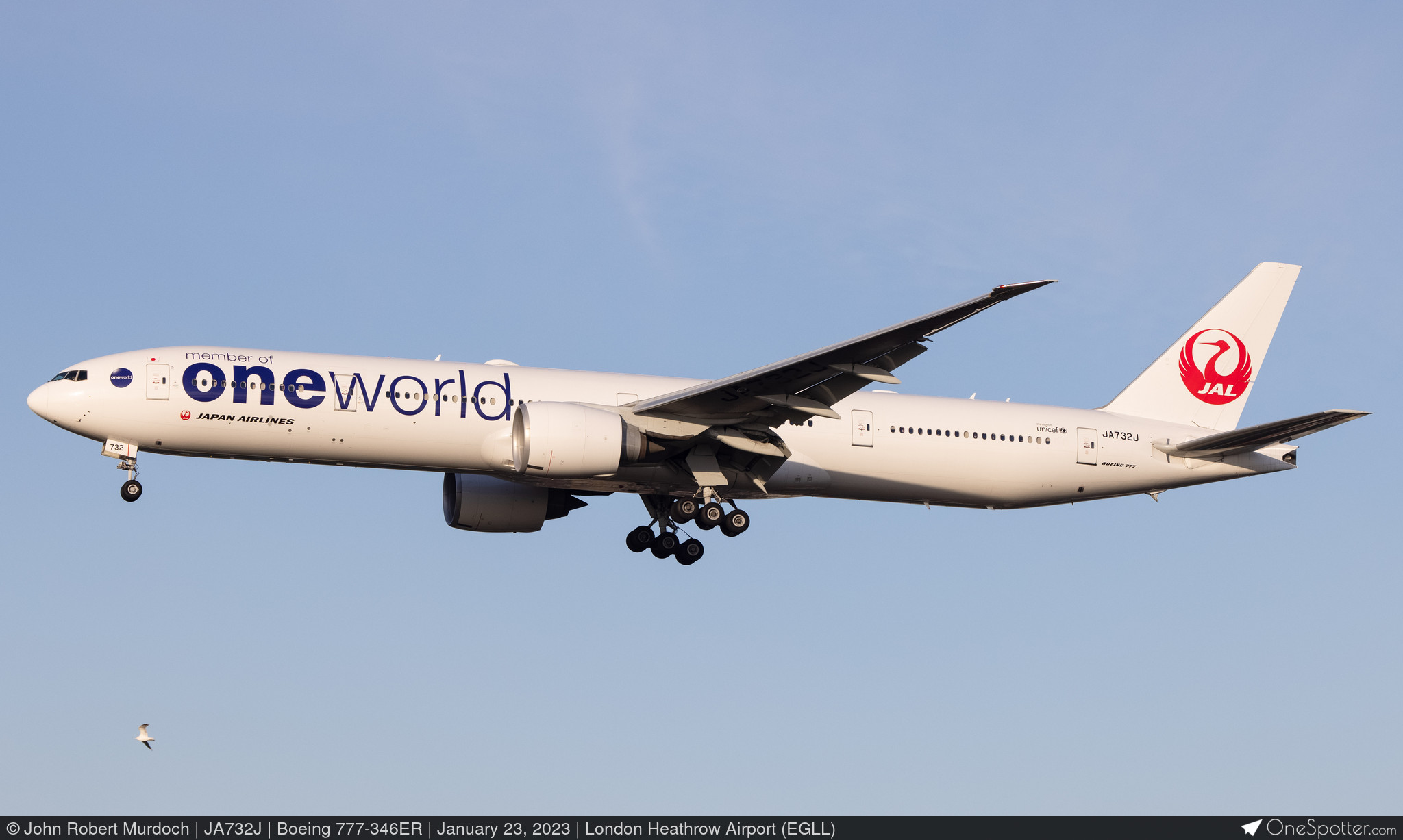 航空機・ヘリコプター JAL ONE WORLD B777-300ER JA732J 7100zALoba6xw5WpP5X.jpg