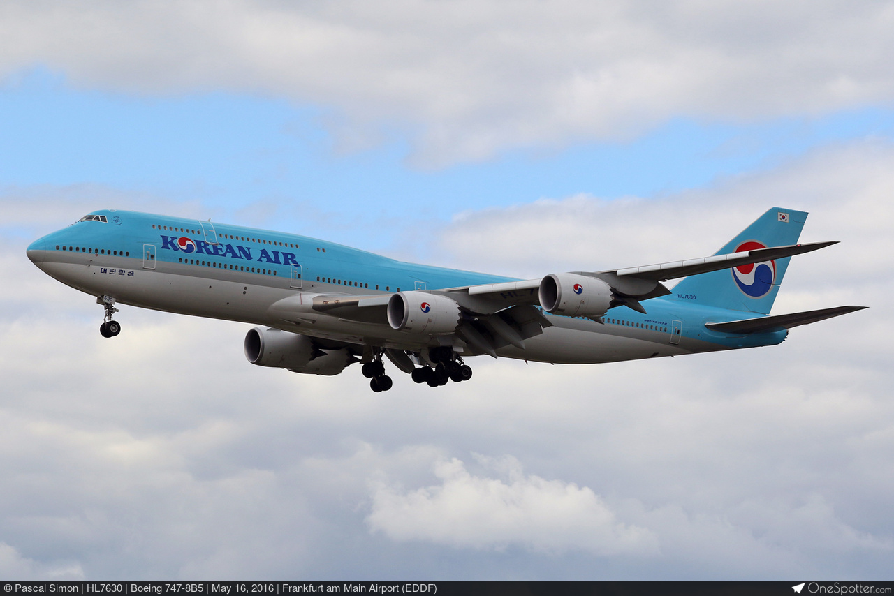 本物 Boeing 747 ピトー管 本物 Boeing ボーイング 747 ピトー管