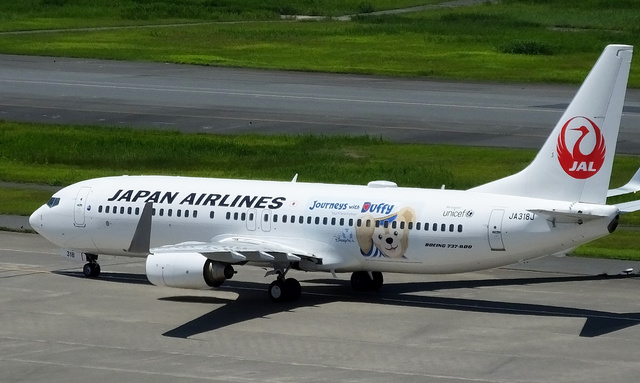 【美品】日本航空JAL B737-846 JA317J 1:400 美品】日本航空JAL B737-846 JA317J 1:400 - メルカリ