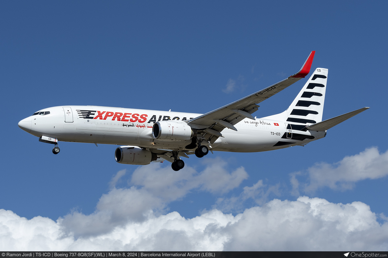 ＡI R  N IＰＰ O N旅客機 B-737 AI R N IPP O N旅客機 B-737 ボーイング737MAXはなぜ墜落した