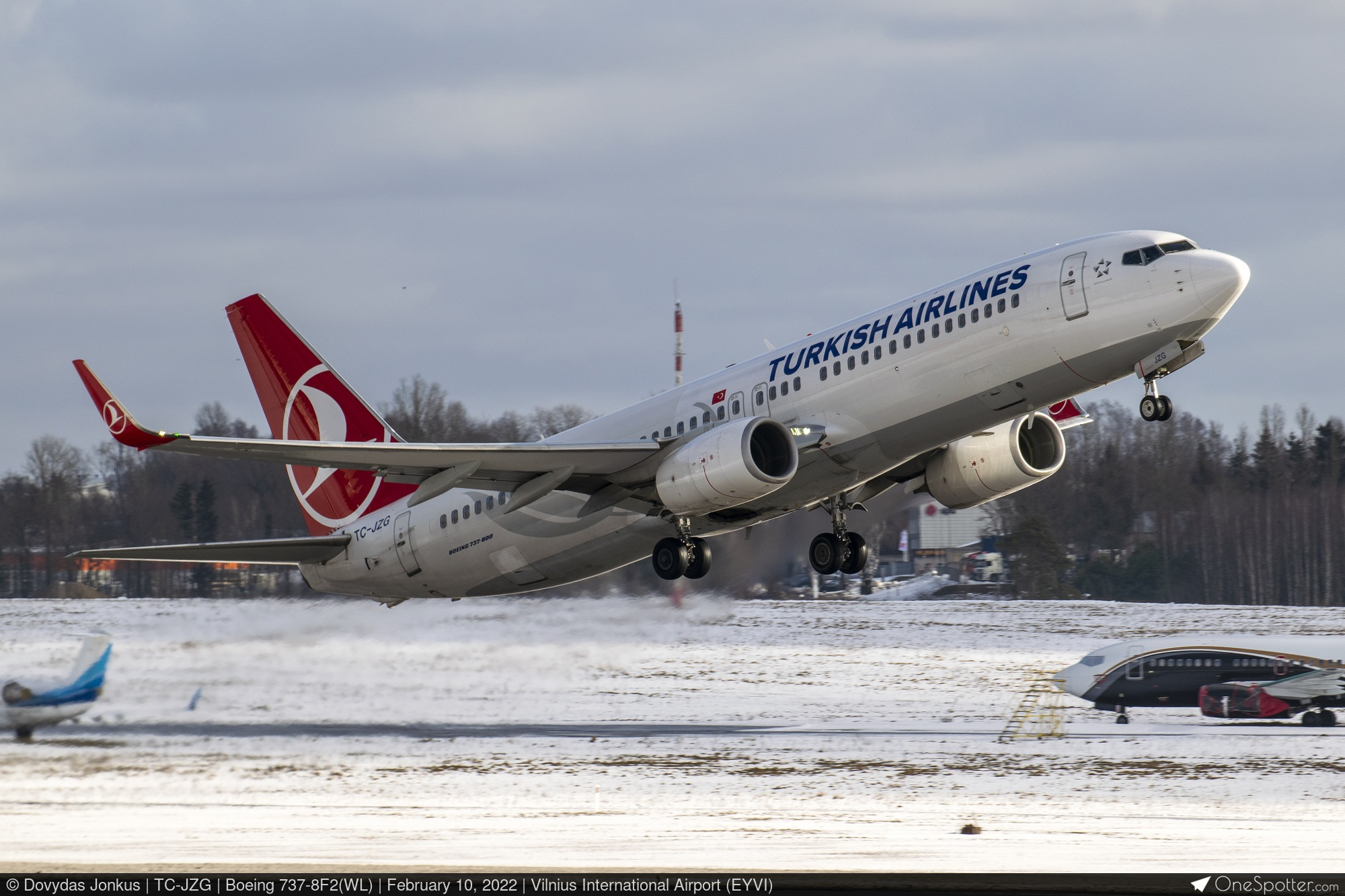 ART TPS II　ジャンク TC-JZG - Turkish Airlines Boeing 737-8F2(WL), MSN 60028