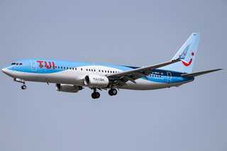 みなと www.JetCollector.com: Jin Air B737 MAX8 w/stand HL8353 1:200 Scale