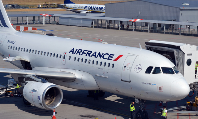 AF Air France Aviationtag A319-100 コンビ色 AF Air France Aviationtag A319-100 コンビ色