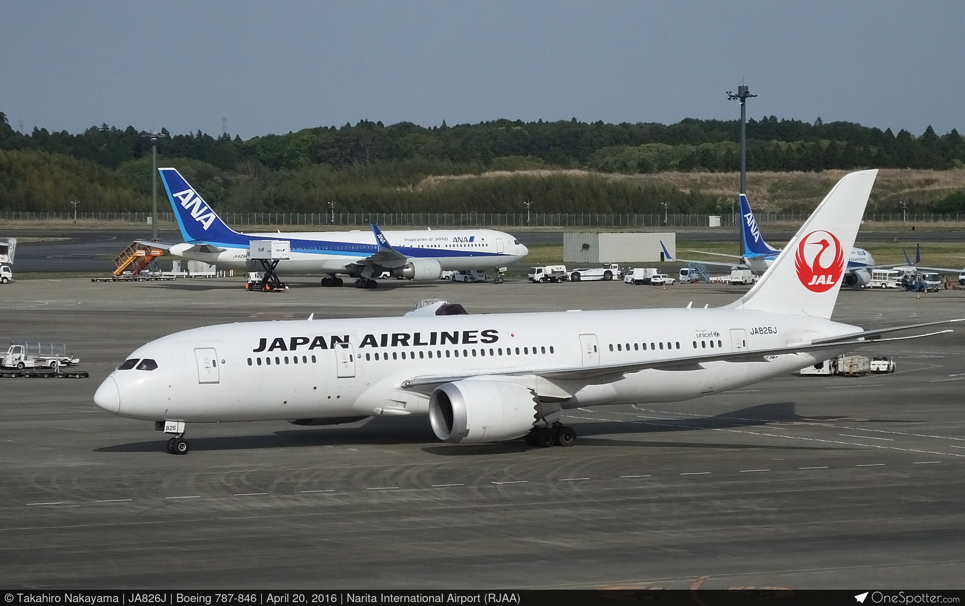 【5/25まで】1:200 ZIP Air B787-8 JA822J ZIP20B788P01_521ZIP20B788P01-2.JPG