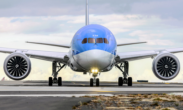 Arke 787-8 PH-TFM 1/200 - 航空機・ヘリコプター - 航空機