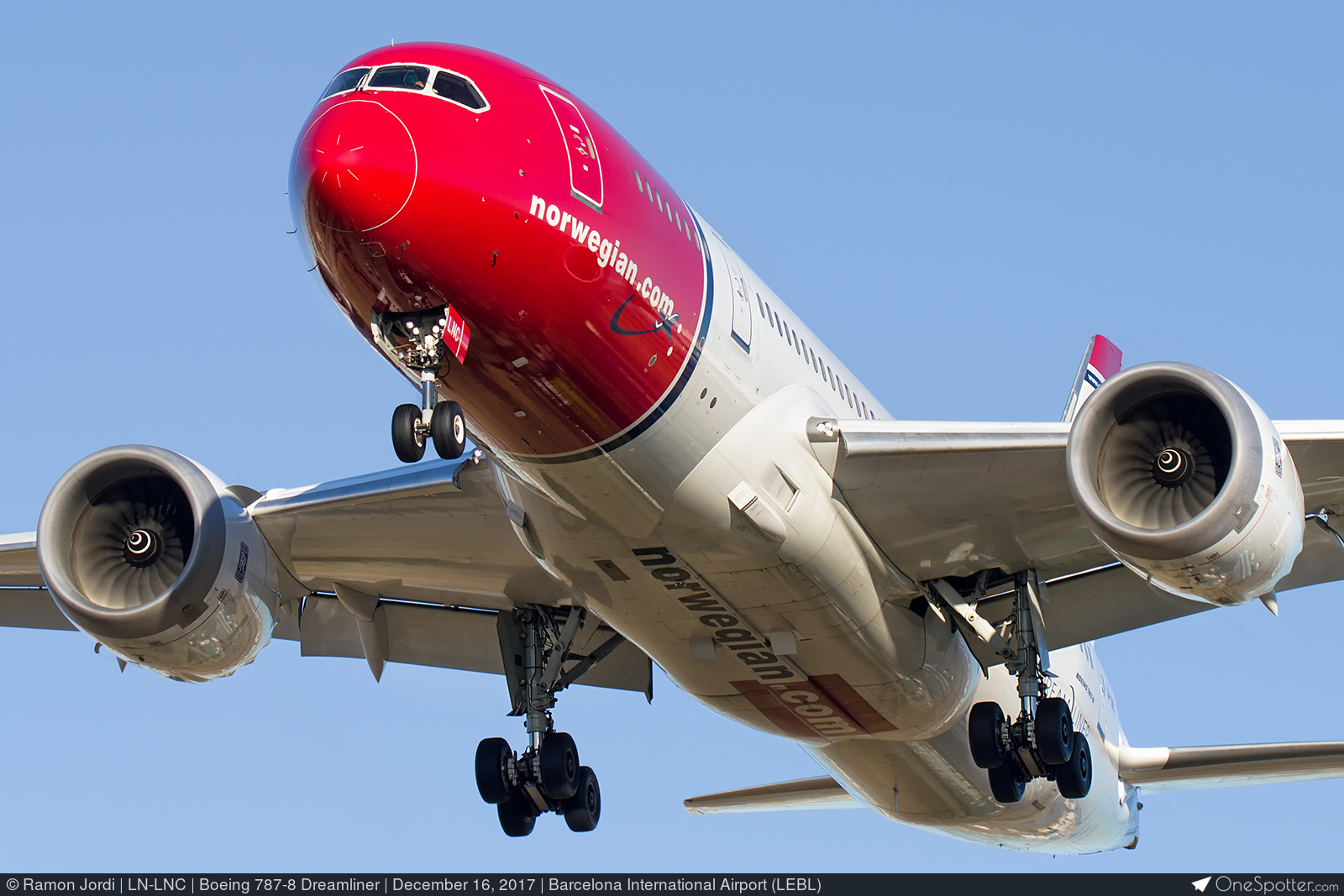 エヌハリウッド N.HOOLYWOOD（エヌハリウッド）正規取り扱い通販｜THE TOKYO（ザ