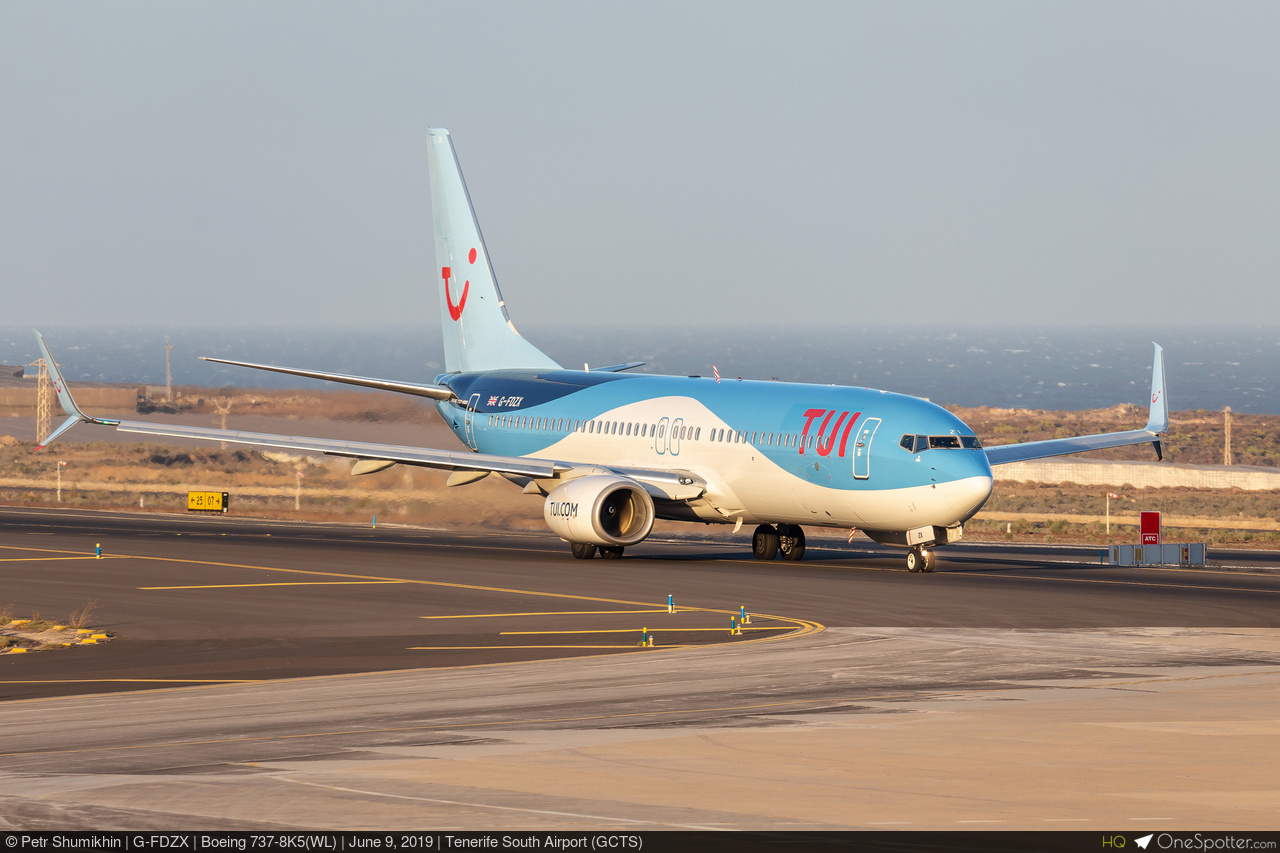 キングダム Boeing 737: The Piedmont Pacemaker – MotoArt PlaneTags