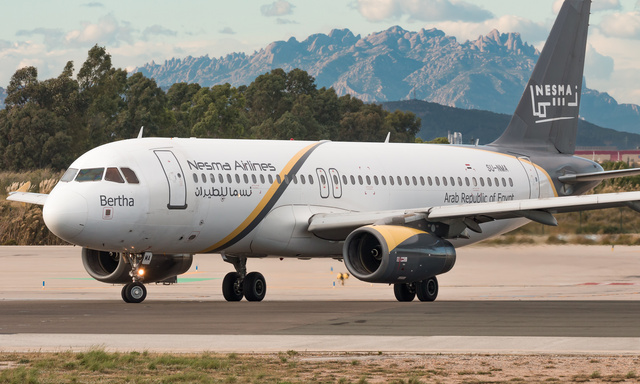 ネットオフ 送料得店 EI-GZT AerCap Airbus A320-232, MSN 1697 | OneSpotter.com 民間航空機