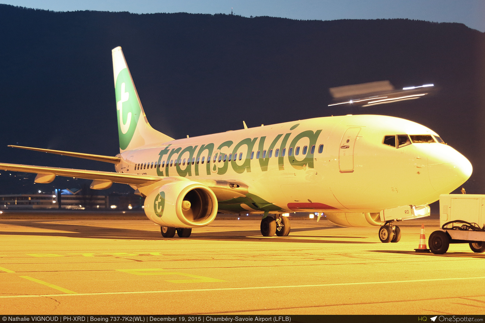 ひまわり ひまわり・F1サンリッチ(R) オレンジ50| 種・苗・ガーデニング用品の