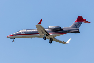 ユグドラシル 474lVpOkKxWvepKaW.jpg