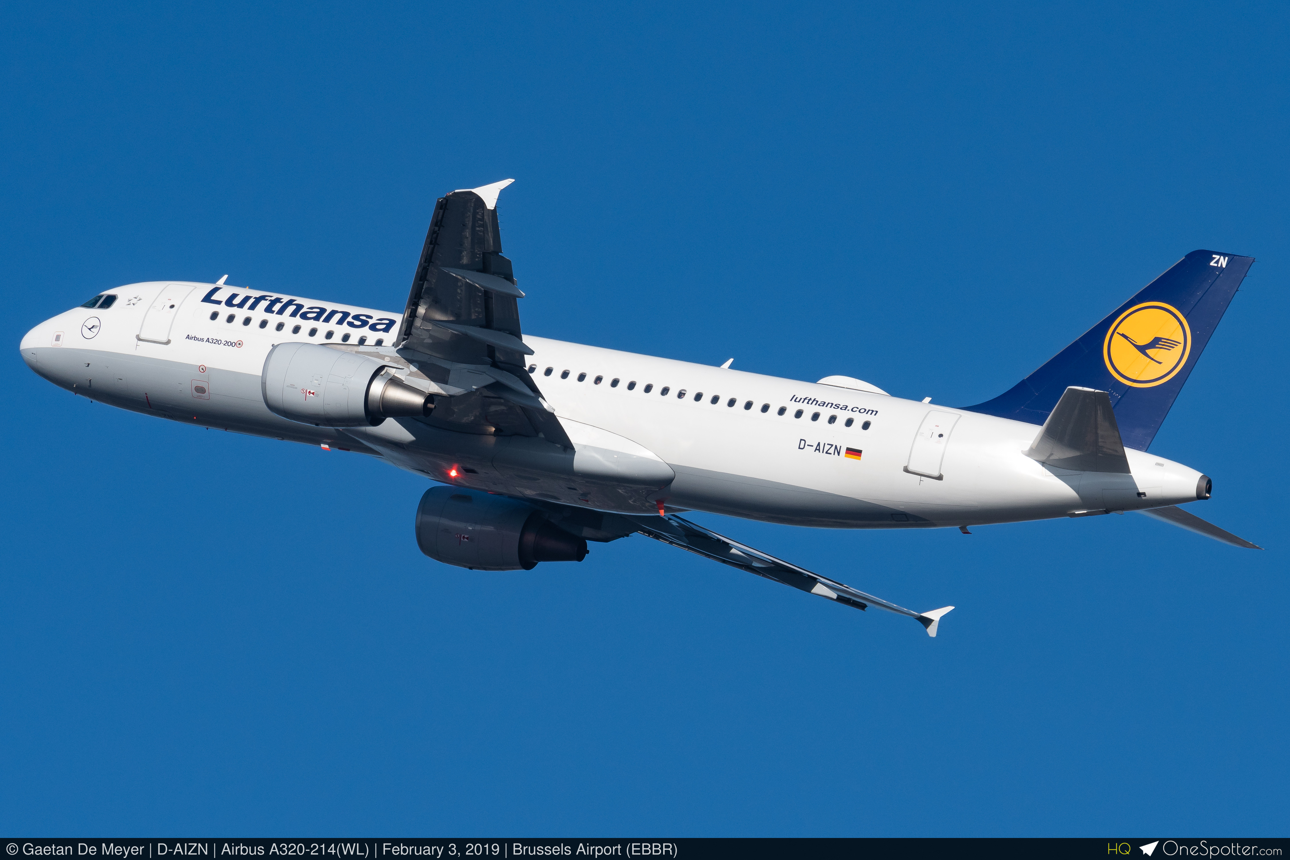 ダイアナ ダイアナ】アミュプラザみやざきにて期間限定POPUPSHOPを開催いたし