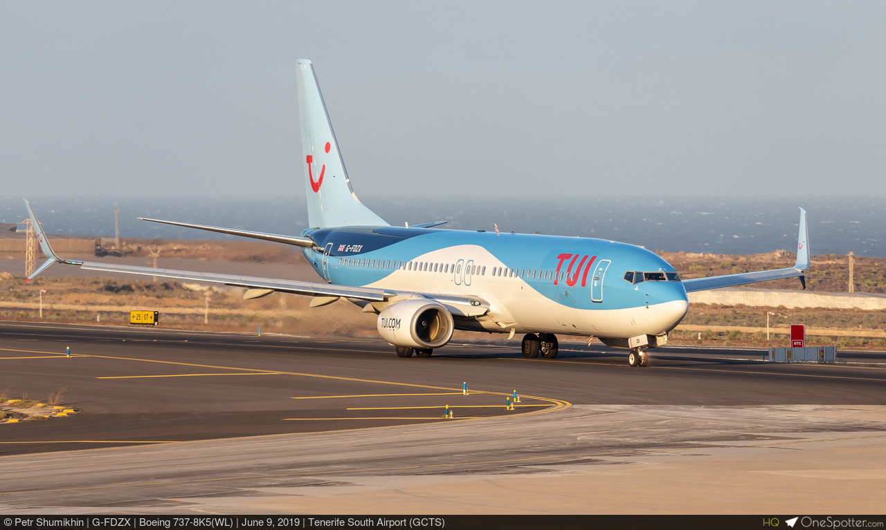 うぃりー Ruili Airlines Boeing 737-800