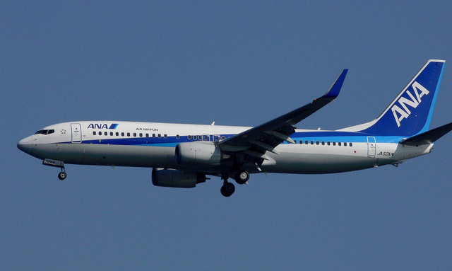 L*y様 【激レア】1/400 ANA B737-800 JA52AN File:ANA B737-800(JA52AN) (5014538101).jpg - 维基百科，自由