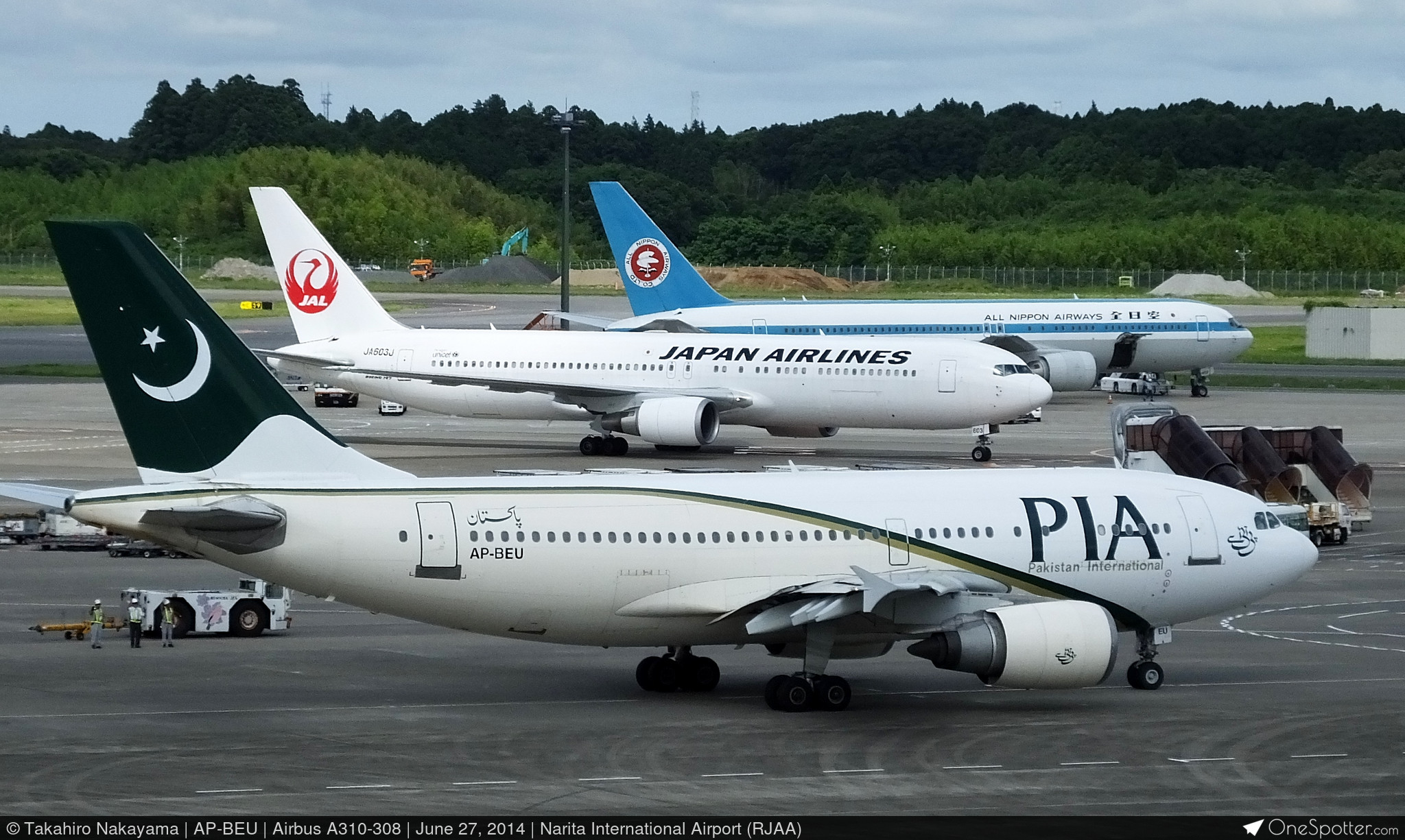 航空機・ヘリコプター PIA A310-308 PIA A310-308 航空機・ヘリコプター