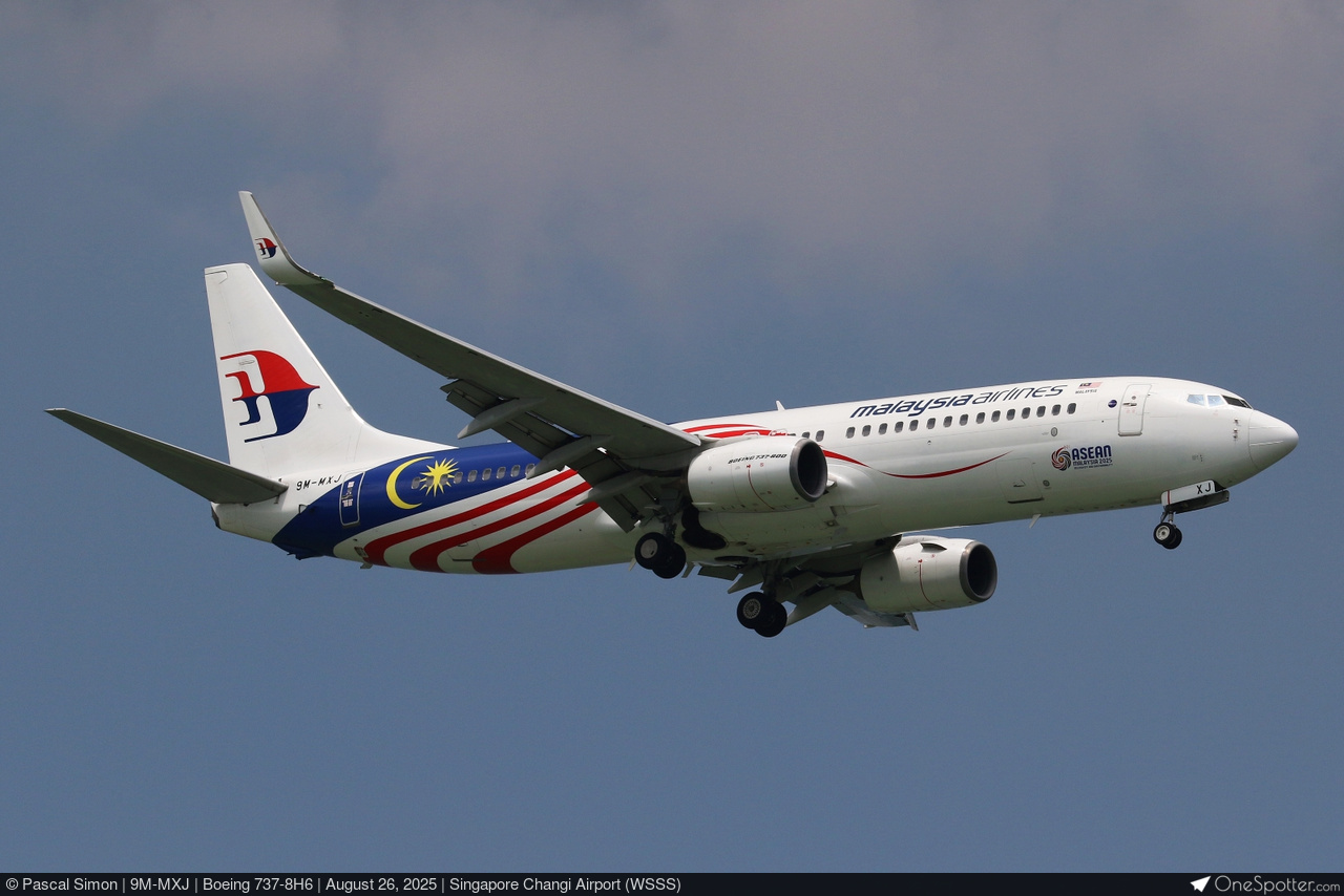 ましゅー CAINZ-DASH】シンワ測定 シックネスゲージ E 100mm25枚組