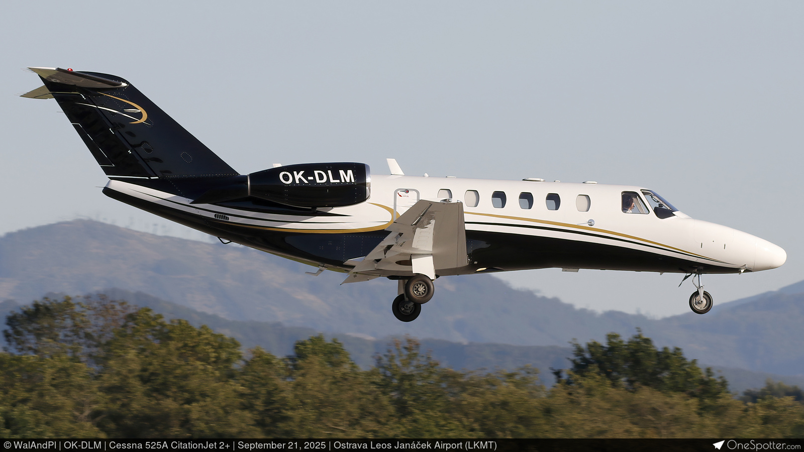 オカリナ 楽天市場】【ふるさと納税】窯元天 SORA オカリナ SC管 14cm×8cm