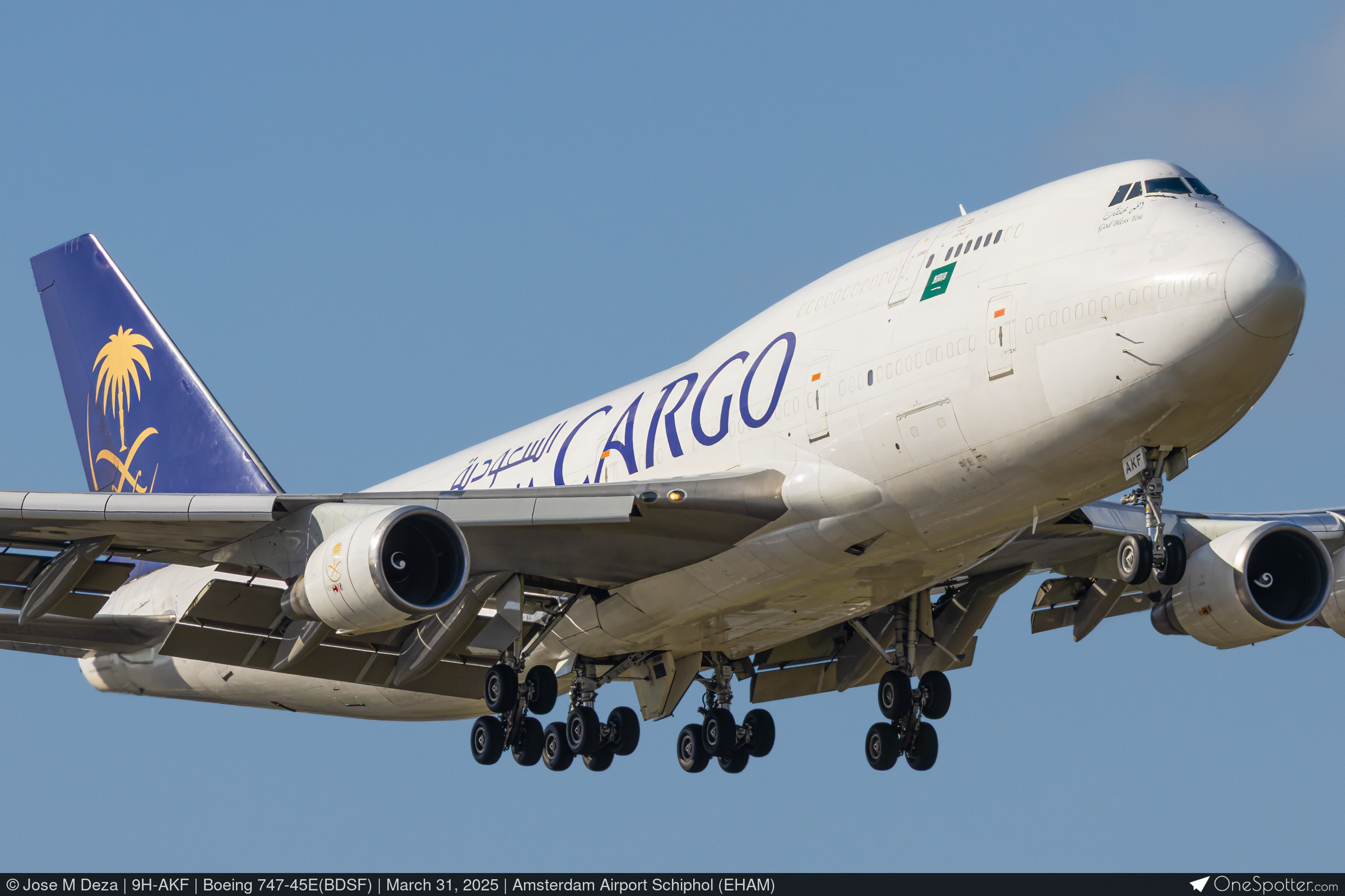 ABISTE & JAL / B747ストラップ ABISTE & JAL / B747ストラップ