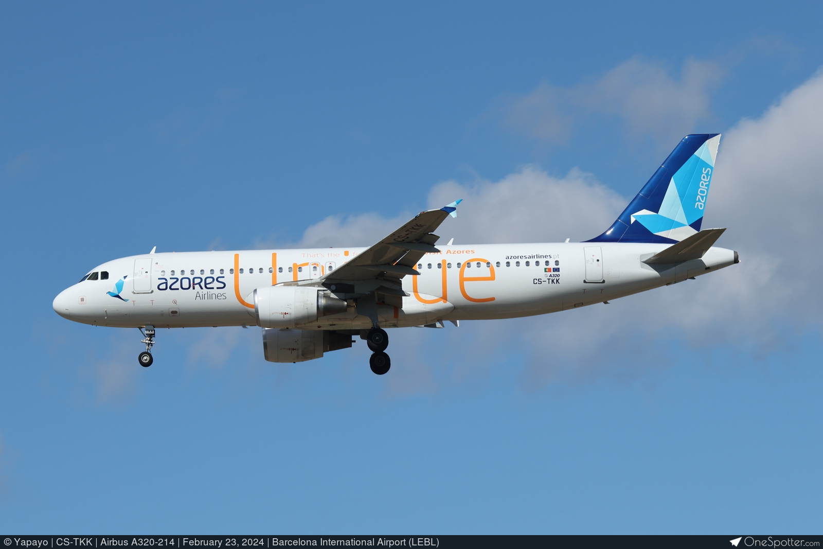 CS-TKK Azores Airlines Airbus A320-214, MSN 2390 | OneSpotter.com