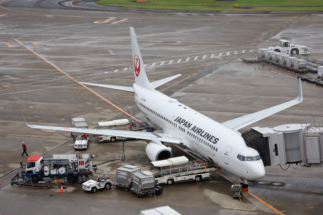 JA339J - Japan Airlines Boeing 737-846(WL), MSN 40354 | OneSpotter.com