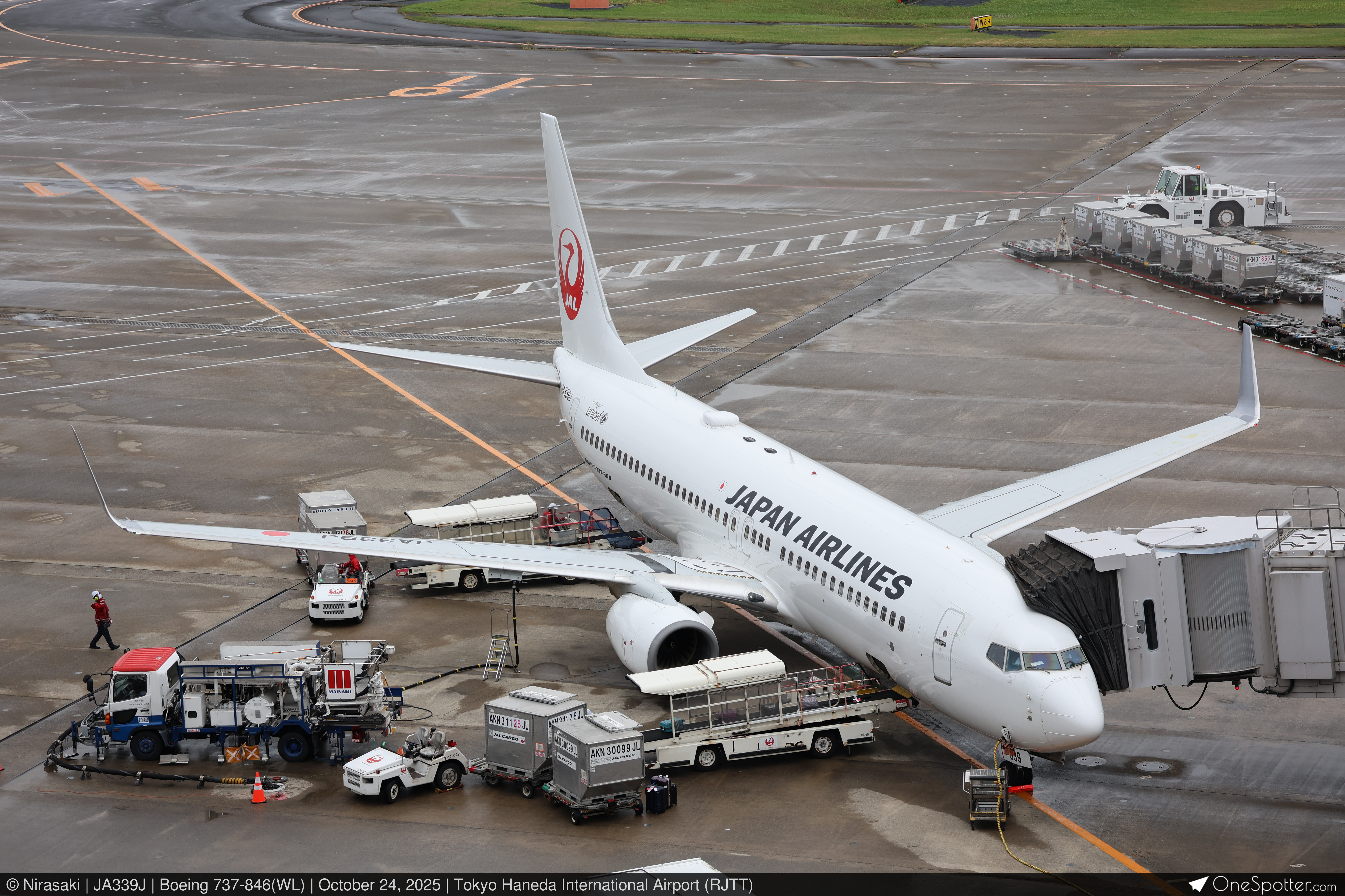 JA339J - Japan Airlines Boeing 737-846(WL), MSN 40354 | OneSpotter.com