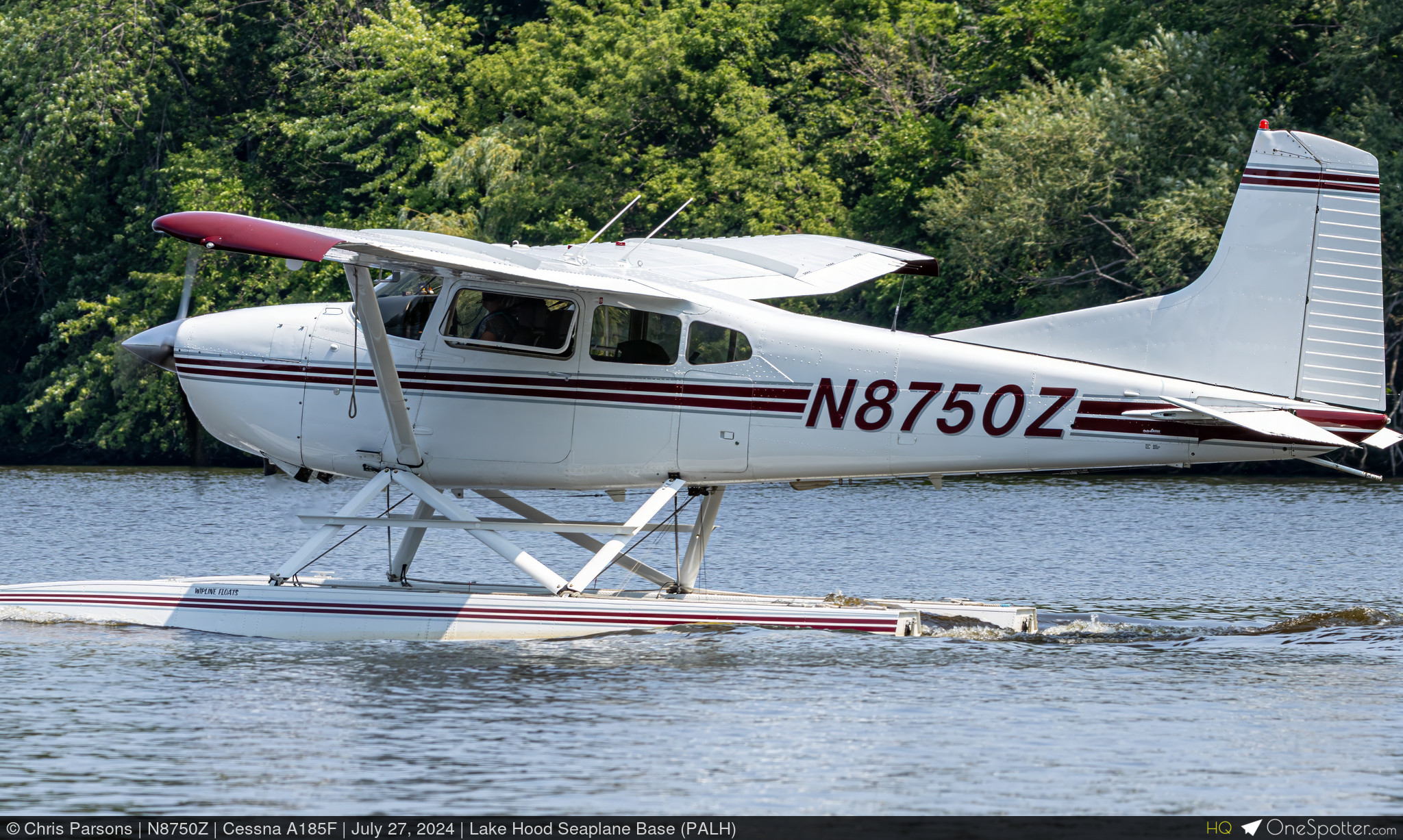 N8750Z - Cessna A185F, Private | OneSpotter.com